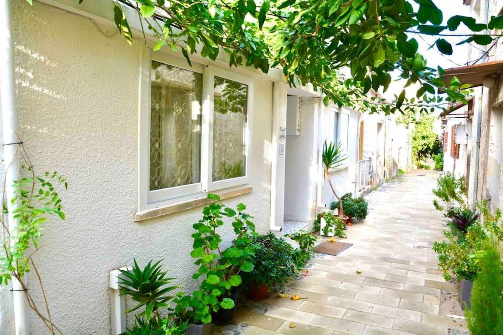 Templar Guesthouse ファマグスタ エクステリア 写真